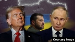 Președinții Donald Trump și Vladimir Putin negociază pacea din Ucraina.