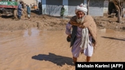 د افغانستان په هرات ولايت کې يو سپينږيری په سېلابي اوبو کې تېرېږي ـ د ۲۰۲۴ز کال د مارچ انځور