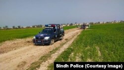 په شکارپور کې پولیس د غلو او ډاکوانو پرضد د عملیاتو پر مهال - پخوانی انځور.