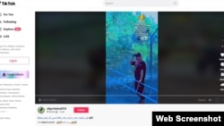 Na društvenim mrežama može se naći nekoliko grupa koje se potpisuju brojem "313", a jedna od njih "afg criminal 313" na TikToku-u objavljuje snimke prelazaka granice.