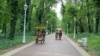 Palic 9, Serbia
