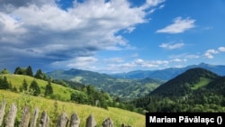 „Frontiera verde” cu Ucraina din nordul României este scena celor mai multe treceri ilegale de frontieră, de la începutul invaziei rusești. 