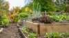 Raised garden bed plot of a community garden. Multi Level wooden planter boxes filled with vegetables and flowers