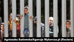 Мігранты каля загароды на беларуска-польскай мяжы