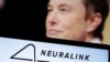 Ilustrativna fotografija, Elon Musk 