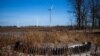 The base of a turbine is installed but overgrown at the wind farm in Ukraine's Mykolayiv region. 
