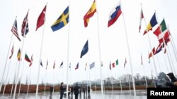 У НАТО пообіцяли «продовжувати підвищувати» свою стійкість проти таких атак і застосовувати свої інструменти для «протидії й боротьби з гібридними діями Росії»