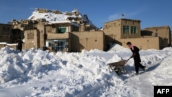 An Afghan man pushes a wheelbarrow following heavy snowfall in Ghazni Province early last month.