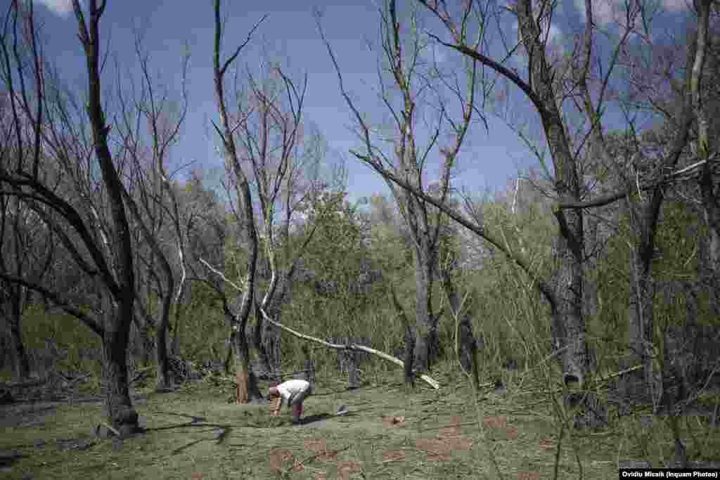A man investigates a crater in the middle of a charred patch of trees near the border with Ukraine in Romania’s Tulcea County on September 7.