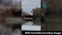 Transport de cai în Delta Dunării la sfârșitul anului 2022