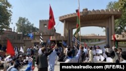 د پېښور پوهنتون استادان، نور کارکوونکي او زده کوونکي د مارچ له اوومۍ راهیسې په احتجاج دي. 