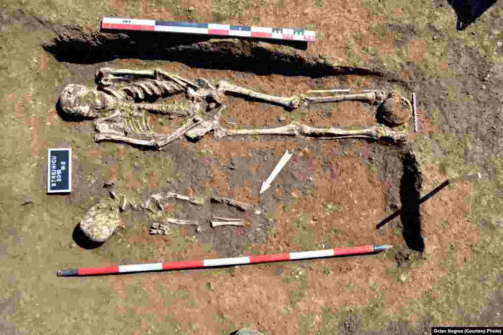 În 2019, la Strejnic, 30 de kilometri sud-vest de Ploiești, aceiași arheologi care lucreză acum la Merez au descoperit într-un tumul un mormânt vechi de peste 5000 de ani. În mormânt erau rămășițele unui adult și ale unui copil. În ultimii ani, arheologii din Prahova au descoperit peste 40 de tumuli în care erau înmormântați peste 200 de oameni. 