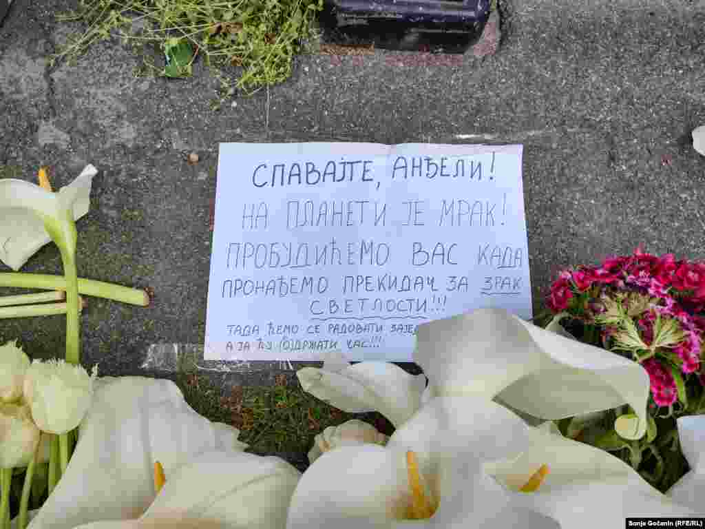 MUP Srbije je najavio strožu kontrolu svih vlasnika oružja. Nakon pucnjave je saopšteno da je dečak koristio očevo oružje u napadu. 