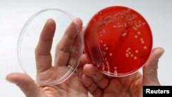 Literatura medicală vorbește tot mai apăsat despre riscul pe care rezistența bacteriilor la antibiotice îl reprezintă pentru sănătatea publică.