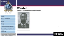 Издөөдөгү Максим Бакиев.