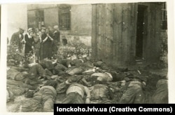 Впізнання загиблих у Бригідках. 3 липня 1941 року