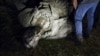 В Одесі проводять демонтаж пам’ятника Катерині II