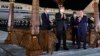China's Xi Jinping is welcomed by Uzbek President Shavkat Mirziyoev (right) at an airport in Samarkand on September 14, 2022.