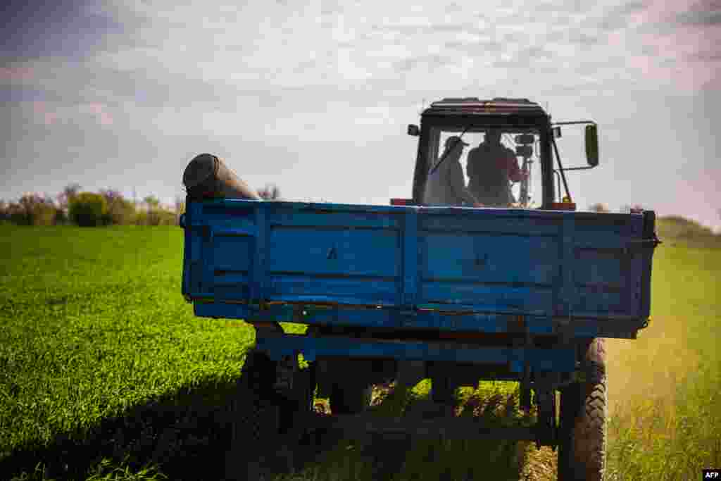 Farmers remove an unexploded shell from their fields near the village of Hryhorivka, Zaporizhzhya, eastern Ukraine, in early May. World Food Program Executive Director David Beasley has warned: "When a nation that is the breadbasket of the world becomes a nation with the longest bread line of the world, we know we have a problem." He adds that the failure to open Ukraine's port in Odesa is a declaration of war on global food security, resulting in famines, destabilization, and mass migration around the world. Russia has said it will lift the blockade if Western sanctions are lifted, a demand Ukrainian Foreign Minister Dmytro Kuleba has characterized as an attempt at "blackmail." 