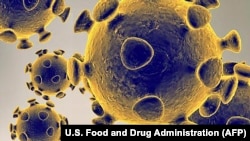Korona virus, ilustracija