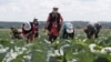 Узбекистан наращивает объем экспорта плодоовощной продукции