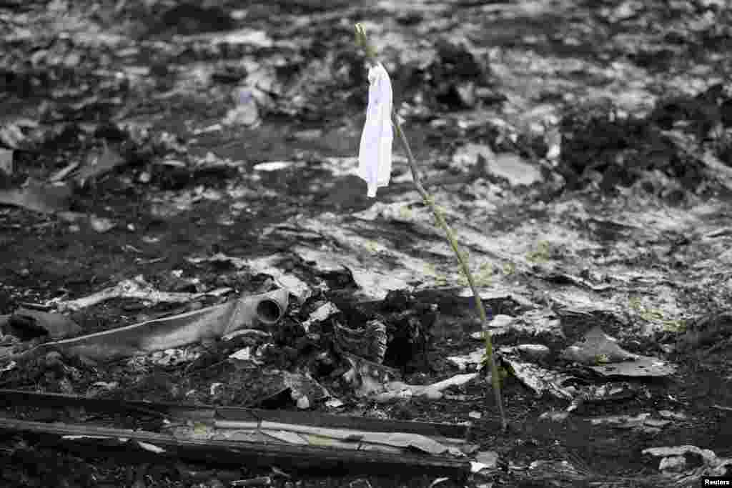A white flag marks the location of the remnants of a body at a crash site on July 18. 