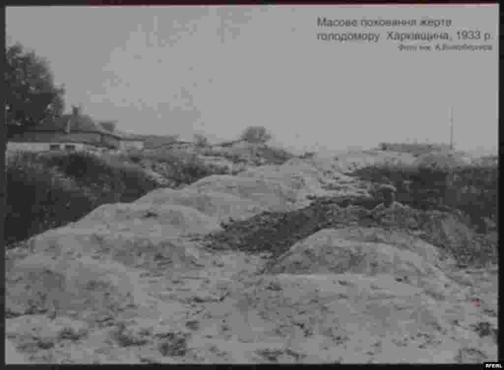 Массове поховання жертв Голодомору. Харківщина, 1933 р. Фото інж. А. Вінерберга - Голодомор, голод, 1933