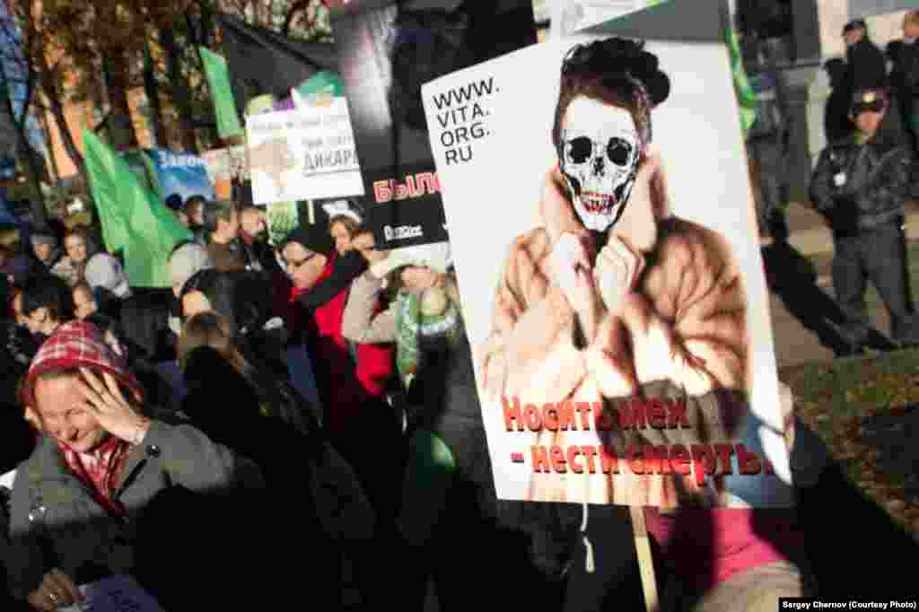 "It's not growing interest; it's more growing empathy -- the increase of information about cruelty meted out to animals and the level of awareness of people," says Dinara Adeyeva, head of Vita's St. Petersburg branch.