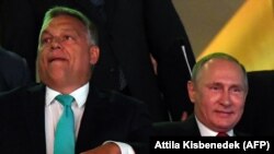 Прем'єр-міністр Угорщини Віктор Орбан та президент Росії Володимир Путін на чемпіонаті світу з дзюдо у Будапешті. 28 серпня 2017 року 