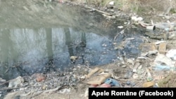 Pe râul Jiu, în apropiere de comuna Malu Mare, din județul Dolj, Apele Române au găsit mai mulți pești morți. Motivul ar fi poluarea cu azotat din amoniu, provenit, potrivit instituției, din ape menajere deversate ilegal.