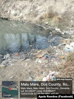 Localizarea GPS a zonei cu peștii morți este pe sectorul de râu din comuna Malu Mare.