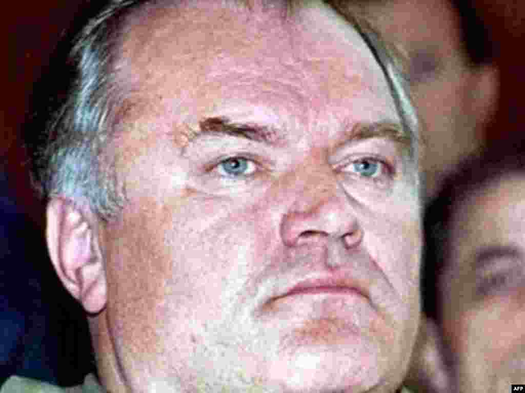 Mladic attending a session of the parliament of the self-proclaimed Bosnian Serb Republic in Pale in November 1995.