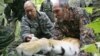 Sleeping Tiger, Hidden Agenda?