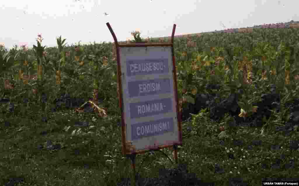 A sign declaring "Ceausescu -- heroism, Romania -- communism!" By the 1980s, Ceausescu's obsession with glorifying himself and repaying foreign loans was having a devastating effect on the Romanian people. 