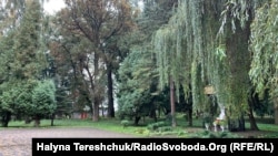 Заклад має паркову територію
