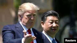 Дональд Трамп жана Си Цзиньпин. Флорида, 7-апрель, 2017-жыл. 