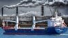 Для роботи підприємства сировина йде морем через перевалки і складні схеми із вимкненням трекерів суден