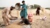 Afgani într-un lan de grâu, la periferia orașului Herat, Afganistan, iunie 2023. 