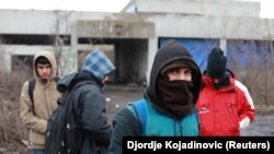 Migranti