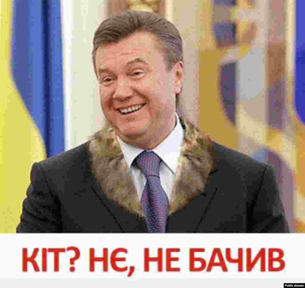 Yanukovych: "Cat? No. No, haven't seen it."