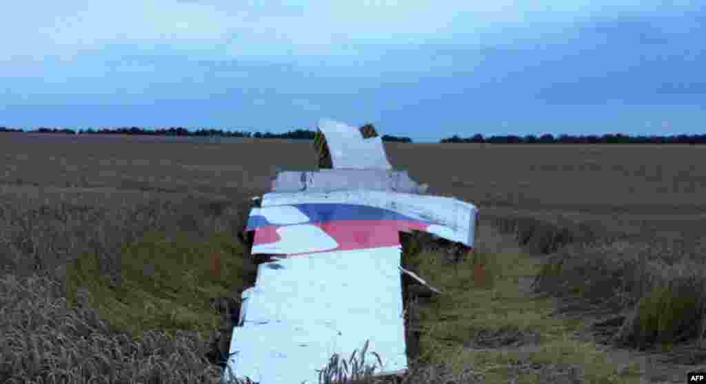Malaysia Airlines markings are clearly visible on what appears to be a piece of the plane's tail.