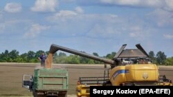 Харьковдогу айыл-чарба талаасы. 30-июль 2022-жыл