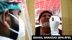 چارواکي وايي، کورونا په سیند صوبه کې زیات خلک ځپلي دي: د ارشیف انځور 