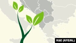 Šumovitost Zapadnog Balkana