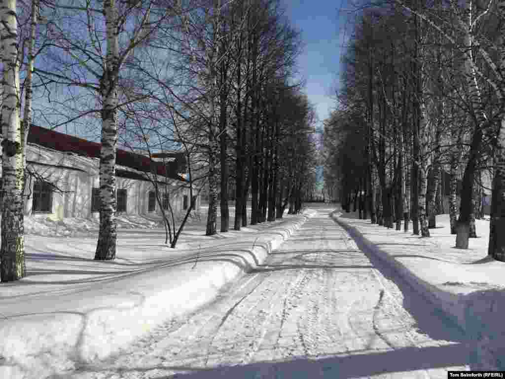 A walkway through the “strict regime” zone lined by silver birch trees. Laborers in the camps were predominantly tasked with logging.