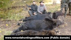 Bear hunting in Romania