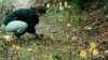 Expert Says Thousands of Bosnians Still Missing
