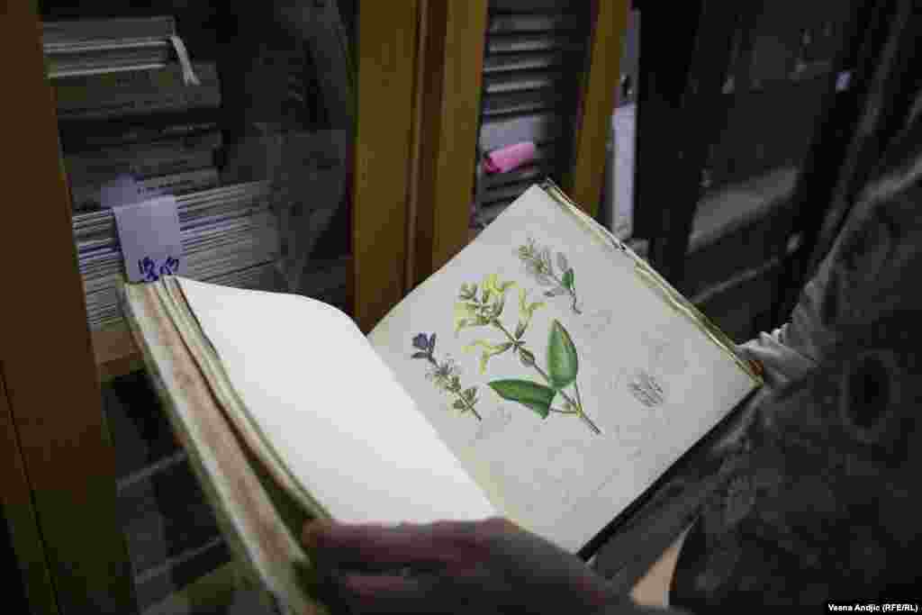 Među retkim knjigama "Botaničke biblioteke" su komplet od 10 tomova Flora Graeca, retko izdanje (1806-1826), koje pored bašte poseduje još samo pet naučnih centara u svetu, Plantae Rariores Hungariae (1802), koja je rukom oslikana; a kao najstarija izdanja koje biblioteka sadrži su Kluzijeva istorija biljaka, štampana 1601. godine i Istorija sveta Plinija Mladjeg, izdata 1562. 