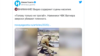  «Новая газета» басылмасы 2020-жылы ноябрда Интернетке тараган бул  видео боюнча Орусиянын Тергөө комитетине кайрылып, бул окуяны иликтөөгө чакырган. 
