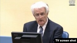 Radovan Karadžić na statusnoj konferenciji, 6. travnja 2016.